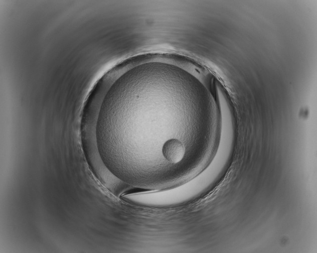 X0000098041326200804181246