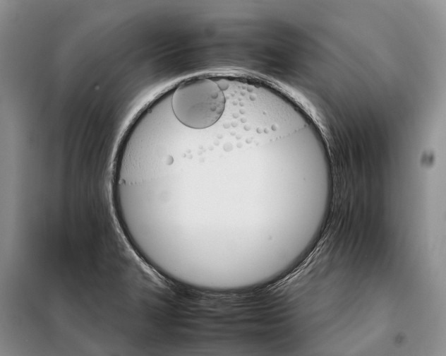 X0000098041327200804181246