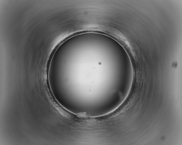 X0000098041328200804181246