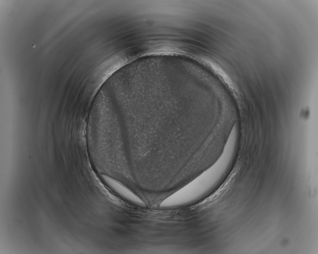 X0000098041329200804181246