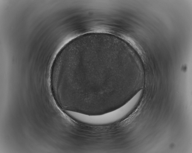 X0000098041331200804181246