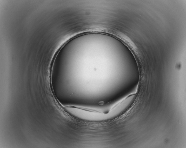 X0000098041332200804181246