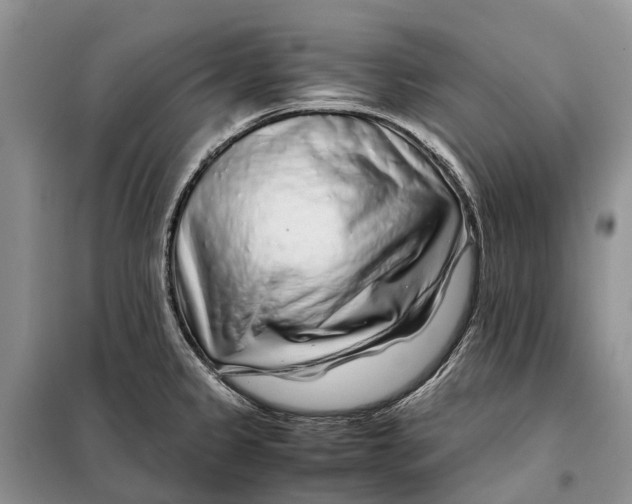 X0000098041333200804181246