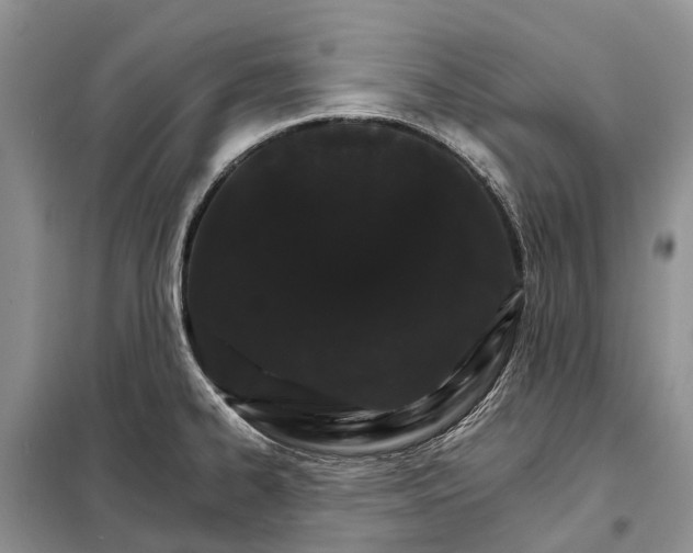 X0000098041334200804181246