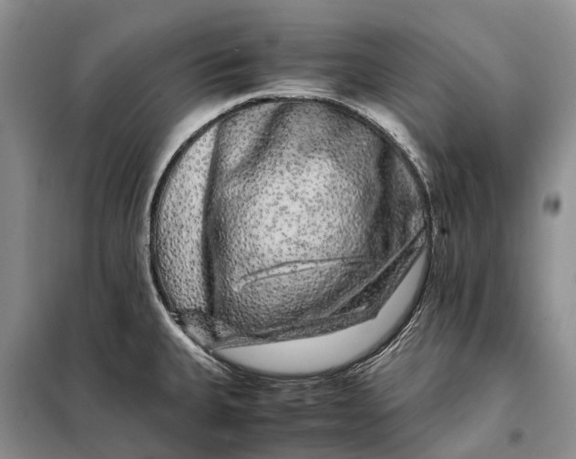 X0000098041335200804181246