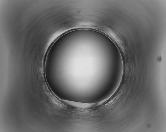 X0000098041336200804181246