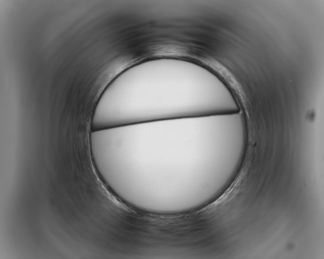 X0000098041337200804181246