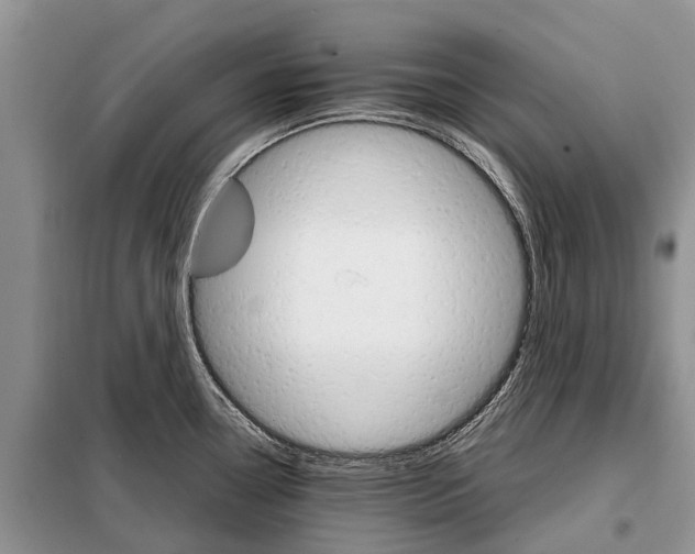 X0000098041338200804181246