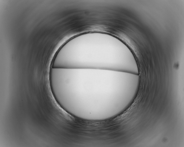 X0000098041339200804181246