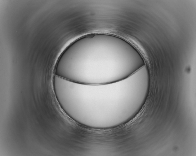 X0000098041340200804181246