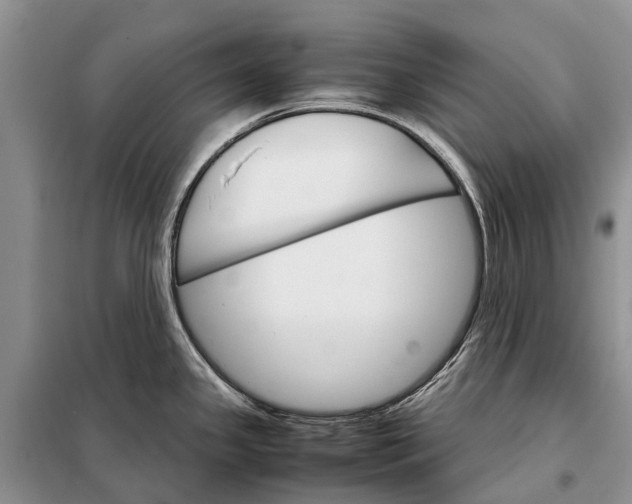 X0000098041341200804181246