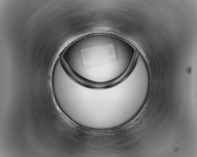 X0000098041342200804181246