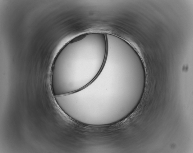 X0000098041344200804181246