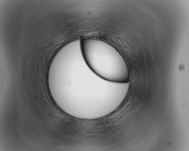 X0000098041345200804181245