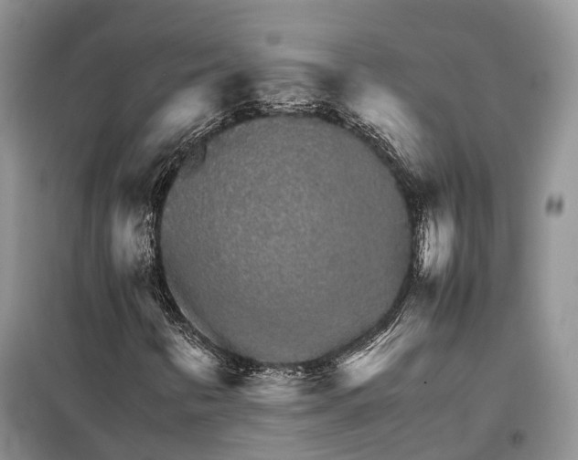 X0000098041346200804181245