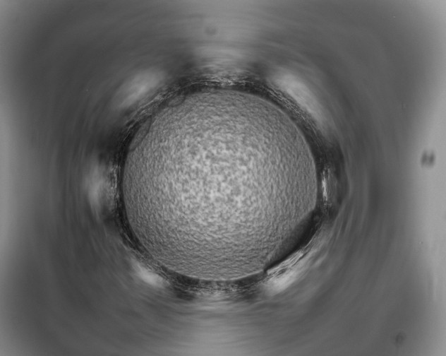 X0000098041347200804181245