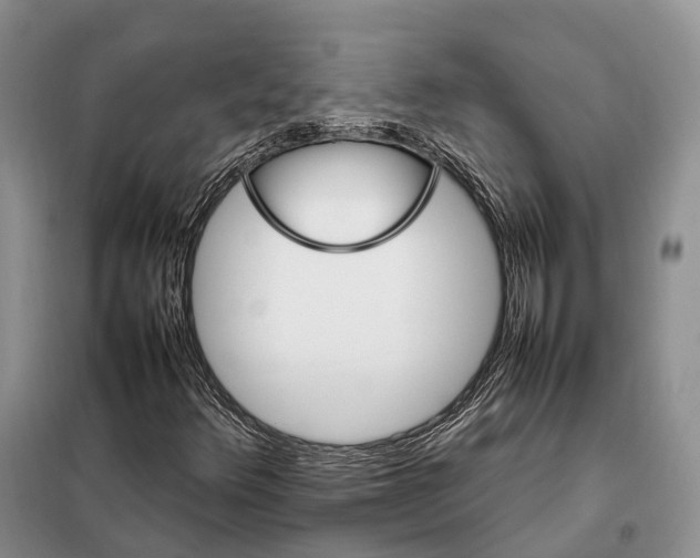 X0000098041348200804181245