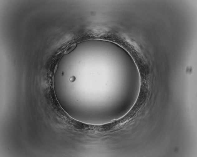 X0000098041349200804181245