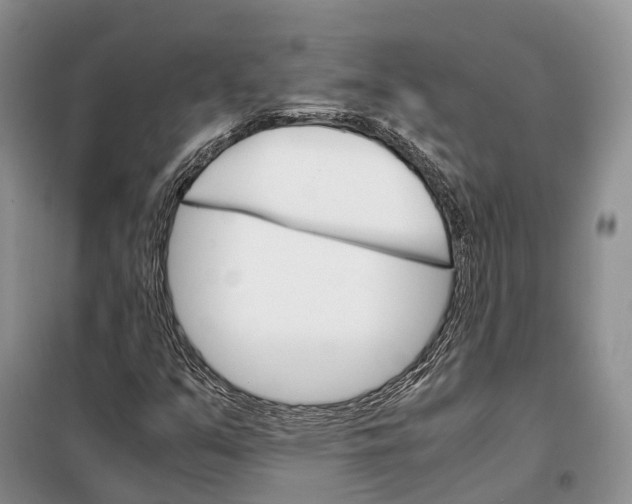 X0000098041351200804181245