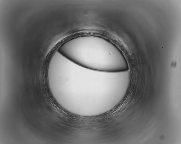 X0000098041352200804181245