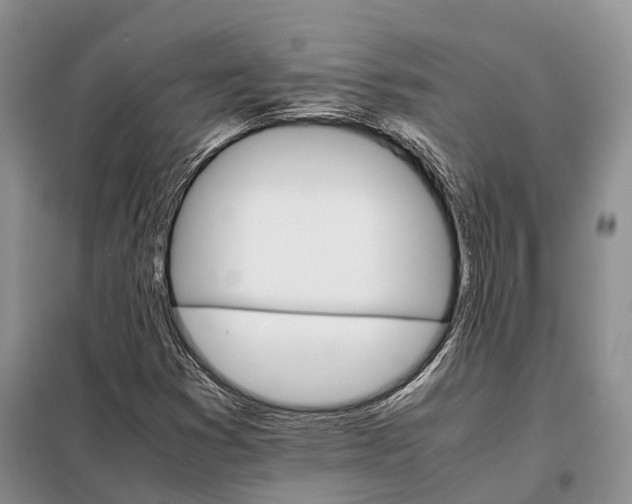 X0000098041353200804181245