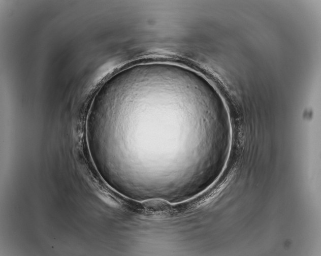 X0000098041355200804181245