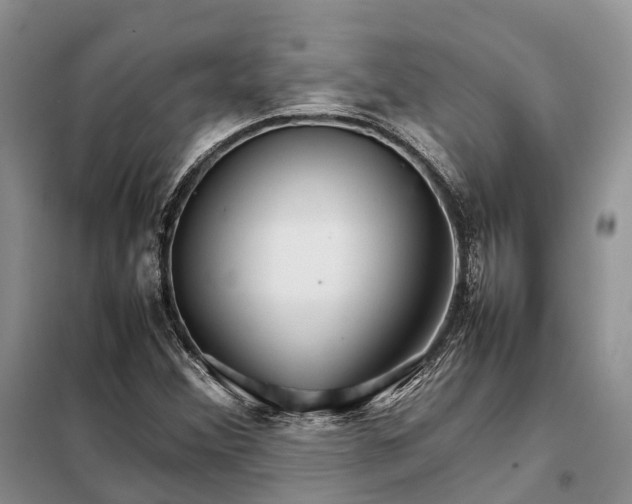 X0000098041356200804181245