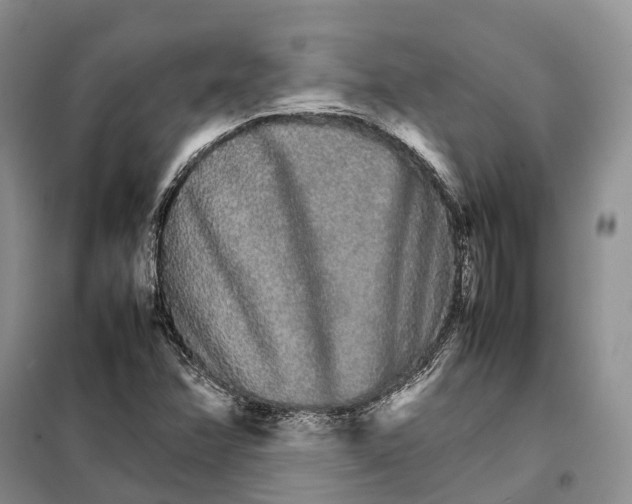 X0000098041358200804181245