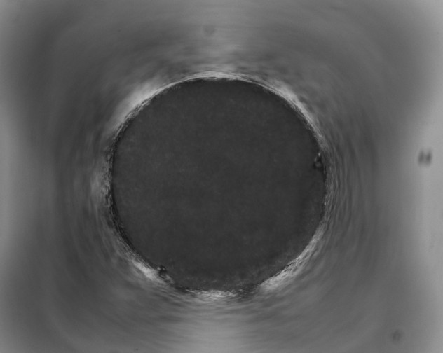 X0000098041359200804181245