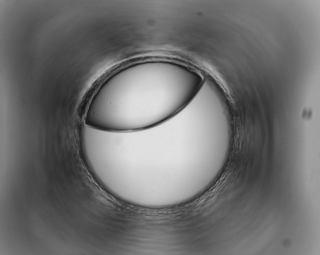 X0000098041360200804181245