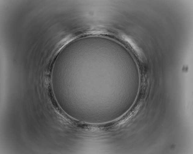 X0000098041361200804181245