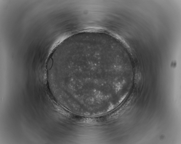 X0000098041362200804181245