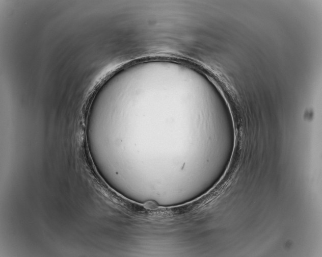 X0000098041363200804181244