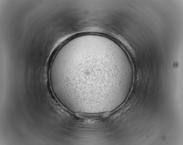 X0000098041364200804181244