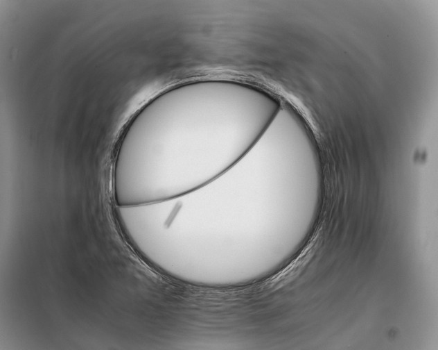 X0000098041365200804181244