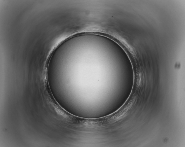 X0000098041366200804181244