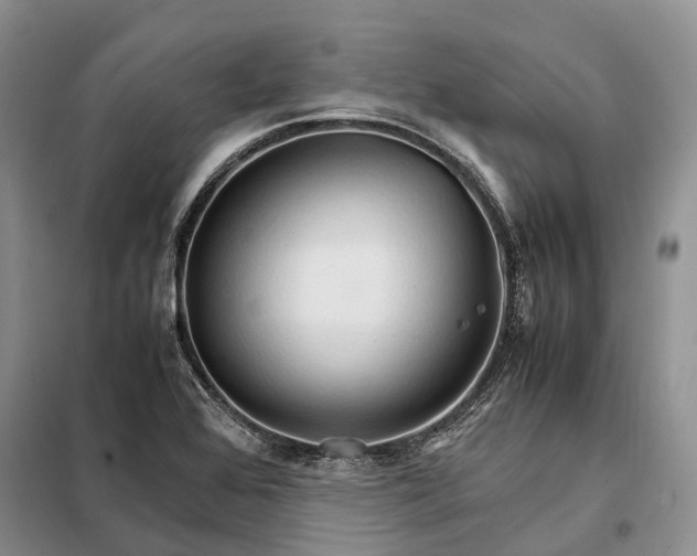 X0000098041368200804181244