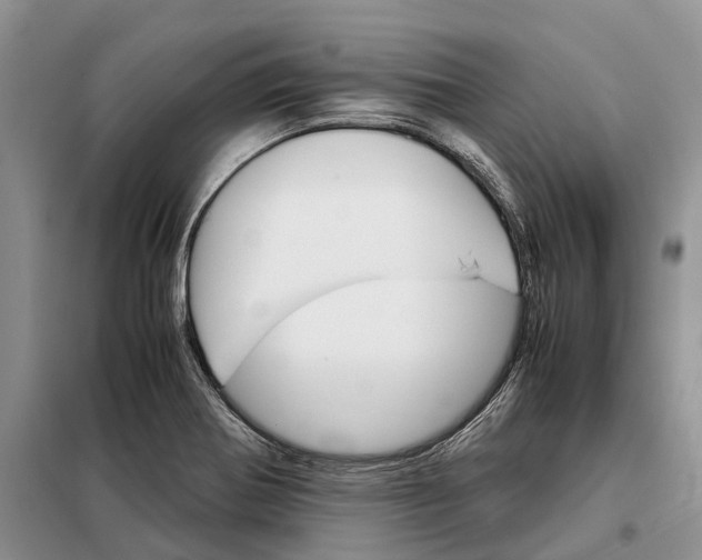 X0000098041370200804181244