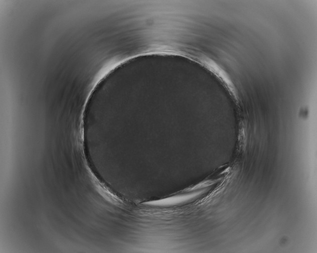 X0000098041372200804181244