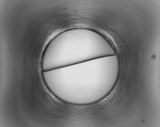 X0000098041373200804181244