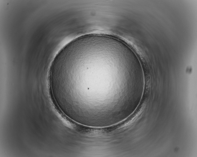 X0000098041375200804181244