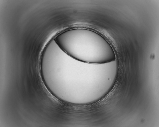 X0000098041376200804181244