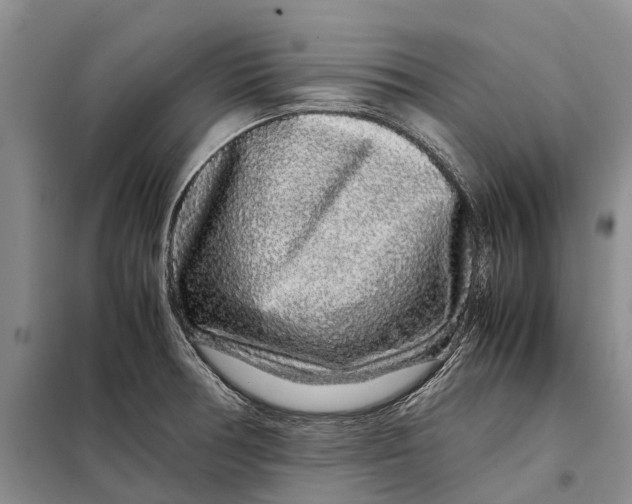 X0000098041378200804181244