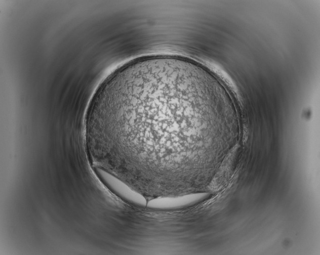 X0000098041380200804181244