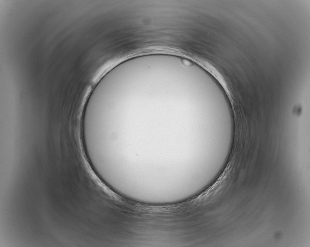 X0000098041381200804181244