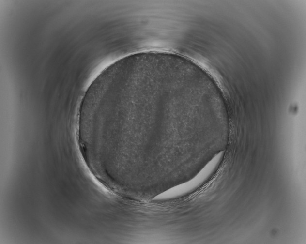 X0000098041383200804181244