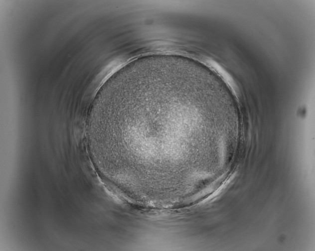 X0000098041385200804181244