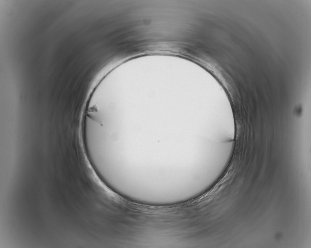 X0000098041387200804181244