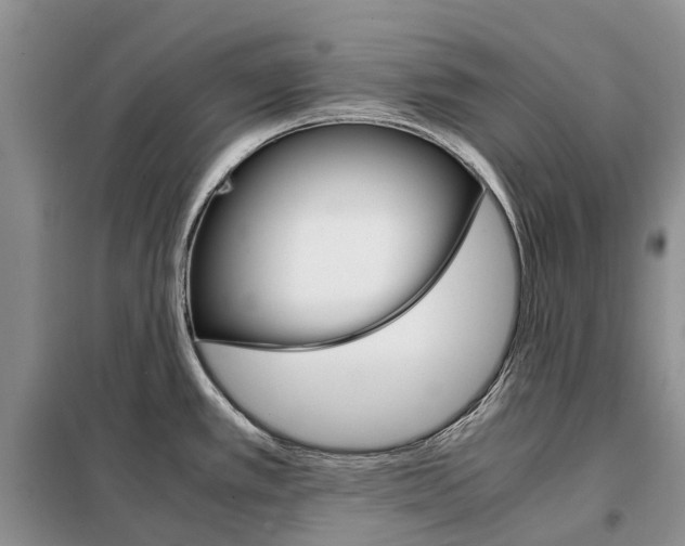 X0000098041389200804181244