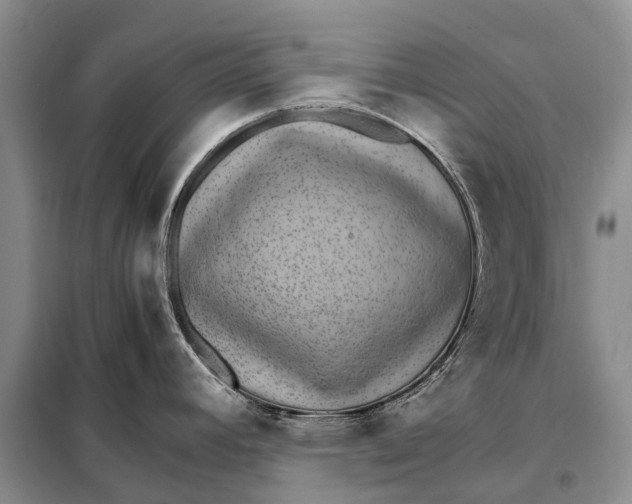 X0000098041392200804181244